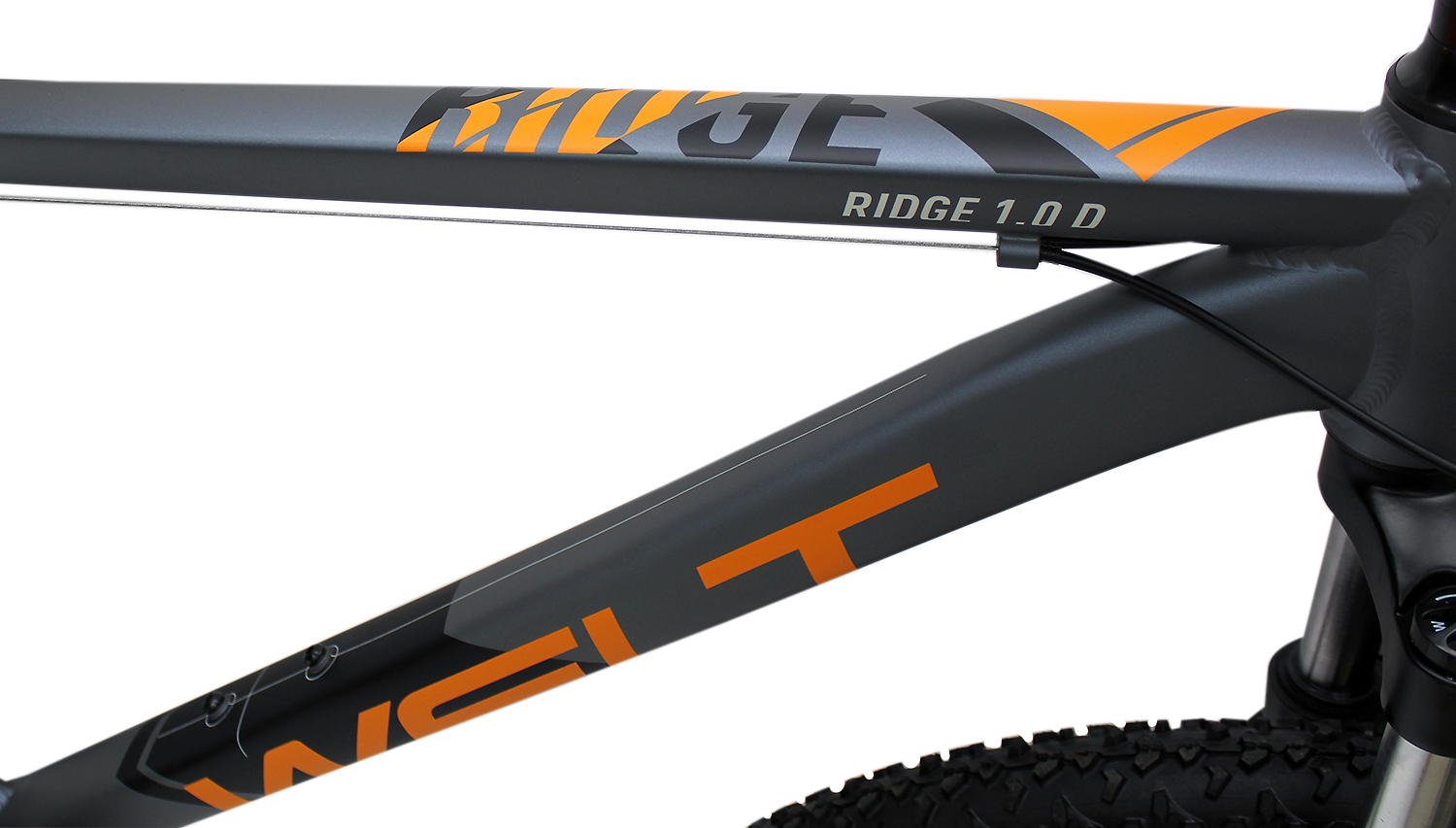 картинка Велосипед Welt Ridge 1.0 D 29'' 2021 (серый) | велосалон Драйв г. Липецк