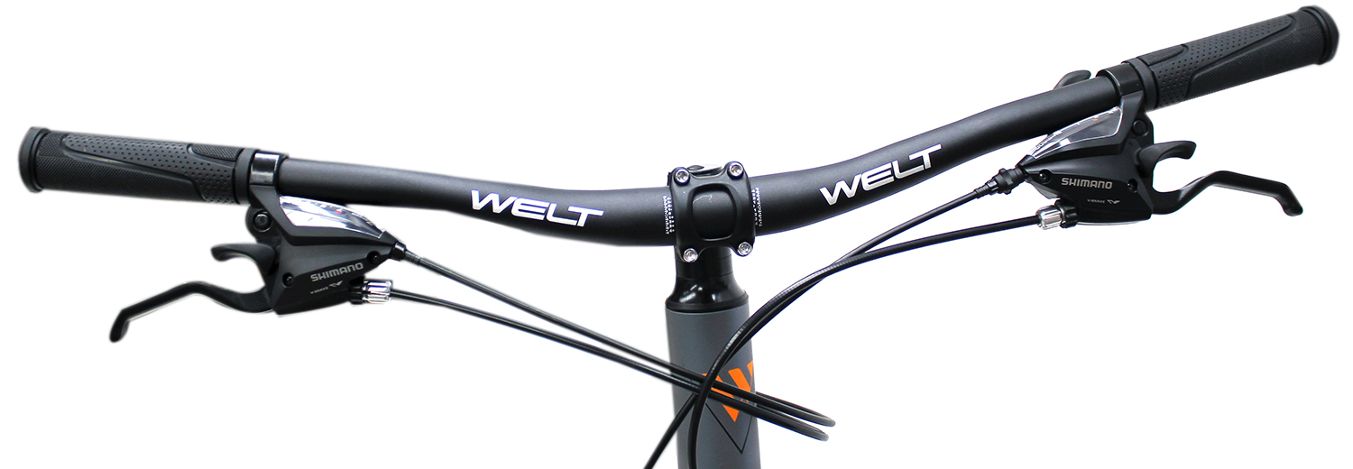 картинка Велосипед Welt Ridge 1.0 D 29'' 2021 (серый) | велосалон Драйв г. Липецк